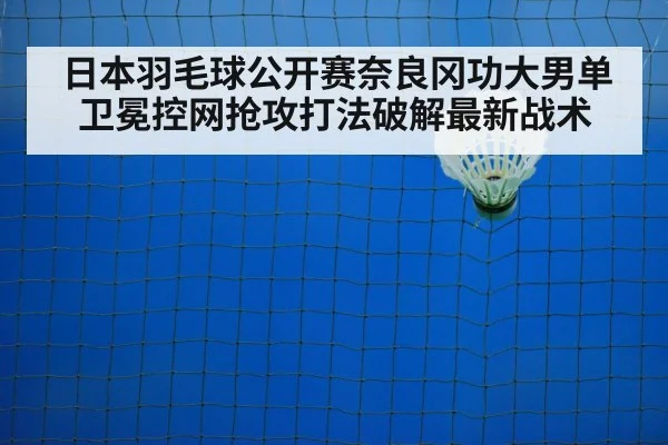 badminton net play